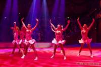 Circus Krone Winterprogramm 2022/23  - Stars in der Manege