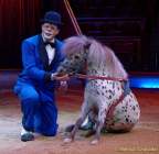 d160224-10151890-100-cirkus_krone-3-winterprogramm-pk