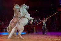 d160301-21084490-100-cirkus_krone-3-winterprogramm