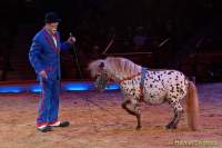 d160301-21135910-100-cirkus_krone-3-winterprogramm