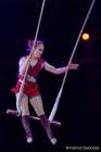 d160301-22313630-100-cirkus_krone-3-winterprogramm