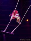 d160301-22321620-100-cirkus_krone-3-winterprogramm