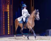 d190404-205754-350-100-circus_krone-mandana-premiere