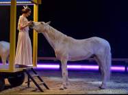 d190404-221031-990-100-circus_krone-mandana-premiere