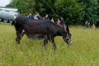 d200629-120913-500-100-krone_farm-presse_rundgang