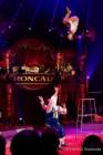 d171007-204458-500-100-roncalli-jubilaeumsshow