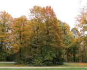 Fotto Spaziergang im Englischen Garten