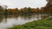 Fotto Spaziergang im Englischen Garten