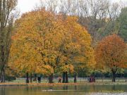 Fotto Spaziergang im Englischen Garten