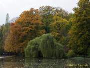 D151021-15584300-100-Englischer_Garten