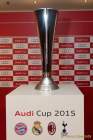 d150803-16003660-100-audi_cup-pk