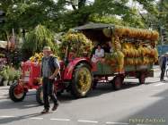 d160802-09040137-100-gaertnerjahrtag_muenchen