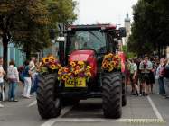 d160802-095854137-100-gaertnerjahrtag_muenchen