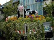 d190806-105507-200-100-gaertnerjahrtag_muenchen