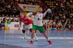 Handball EM 2024: Dänemark -  Portugal ( Ergebnis 37:27 )