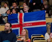 Handball EM 2024: Island -  Ungarn ( Ergebnis 25:33 )