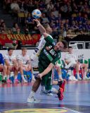 Handball EM 2024: Island -  Ungarn ( Ergebnis 25:33 )