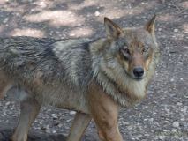 Helllabrunn am 09.06.2023