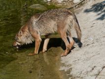 Helllabrunn am 09.06.2023