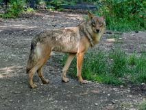 Helllabrunn am 09.06.2023