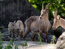 Helllabrunn am 09.06.2023