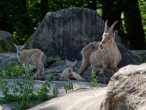 Helllabrunn am 09.06.2023