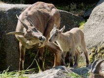 Helllabrunn am 09.06.2023