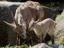 Helllabrunn am 09.06.2023