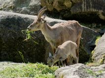 Helllabrunn am 09.06.2023