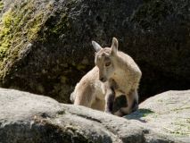 Helllabrunn am 09.06.2023