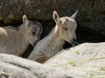 Helllabrunn am 09.06.2023