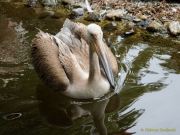 Abendlicher Foto- und Presserundgang durch den Tierpark Hellabrunn 2024