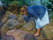 Abendlicher Foto- und Presserundgang durch den Tierpark Hellabrunn 2024