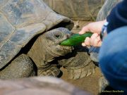 Abendlicher Foto- und Presserundgang durch den Tierpark Hellabrunn 2024