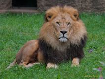 Abendlicher Foto- und Presserundgang durch den Tierpark Hellabrunn 2024