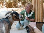 Tierpark Hellabrunn - Presse-Rundgang