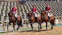 Carmina Burana Cavallo auf Schloss Kaltenberg 2022