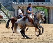 Carmina Burana Cavallo auf Schloss Kaltenberg 2022