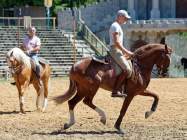 Carmina Burana Cavallo auf Schloss Kaltenberg 2022