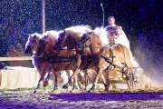 Carmina Burana Cavallo auf Schloss Kaltenberg 2022 - Sound von Quadro Nuevo zusammen mit der Philharmonie Salzburg unter der Leitung von Elisabeth Fuchs sowie dem Mendelssohn Vocalensemble.