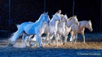 Carmina Burana Cavallo auf Schloss Kaltenberg 2022 - Sound von Quadro Nuevo zusammen mit der Philharmonie Salzburg unter der Leitung von Elisabeth Fuchs sowie dem Mendelssohn Vocalensemble.