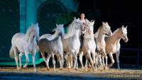 Carmina Burana Cavallo auf Schloss Kaltenberg 2022 - Sound von Quadro Nuevo zusammen mit der Philharmonie Salzburg unter der Leitung von Elisabeth Fuchs sowie dem Mendelssohn Vocalensemble.