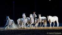 Carmina Burana Cavallo auf Schloss Kaltenberg 2022 - Sound von Quadro Nuevo zusammen mit der Philharmonie Salzburg unter der Leitung von Elisabeth Fuchs sowie dem Mendelssohn Vocalensemble.