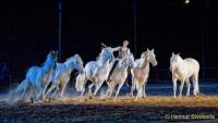 Carmina Burana Cavallo auf Schloss Kaltenberg 2022 - Sound von Quadro Nuevo zusammen mit der Philharmonie Salzburg unter der Leitung von Elisabeth Fuchs sowie dem Mendelssohn Vocalensemble.