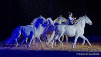 Carmina Burana Cavallo auf Schloss Kaltenberg 2022 - Sound von Quadro Nuevo zusammen mit der Philharmonie Salzburg unter der Leitung von Elisabeth Fuchs sowie dem Mendelssohn Vocalensemble.