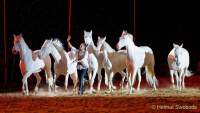 Carmina Burana Cavallo auf Schloss Kaltenberg 2022 - Sound von Quadro Nuevo zusammen mit der Philharmonie Salzburg unter der Leitung von Elisabeth Fuchs sowie dem Mendelssohn Vocalensemble.