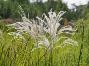 Bayerische Landesgartenschau Kirchheim 2024