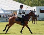 Pferd International 2022-05-26 Polo