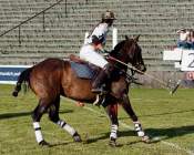 Pferd International 2022-05-26 Polo