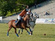 Pferd International 2022-05-26 Polo